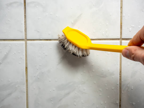Best Emergency Mold Removal  in Hornsby Bend, TX