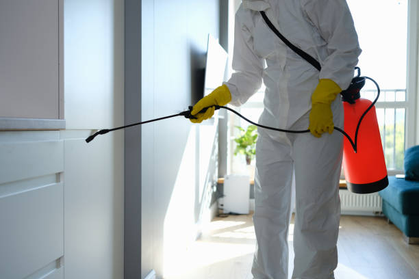 Reliable Hornsby Bend, TX Mold Removal Solutions