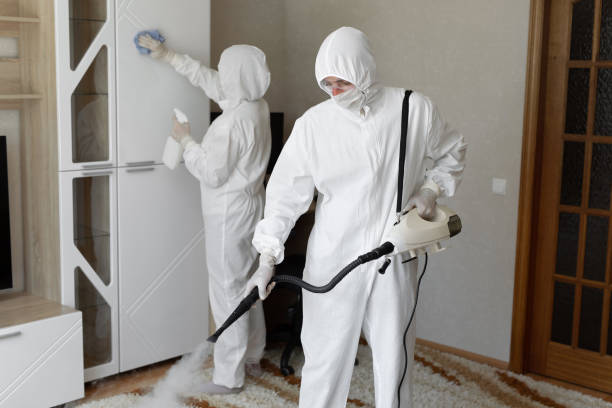 Best Professional Mold Removal  in Hornsby Bend, TX