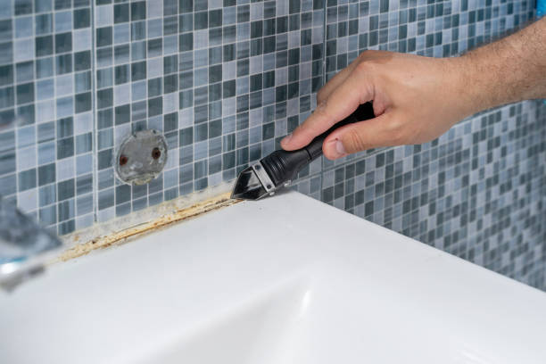 Best Local Mold Removal Service  in Hornsby Bend, TX